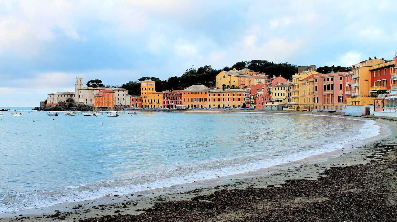 Avis Sestri Levante - Contatti